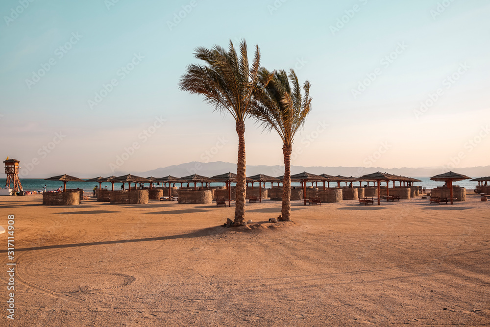 Fototapeta premium Background of beach with palms and summer time. 