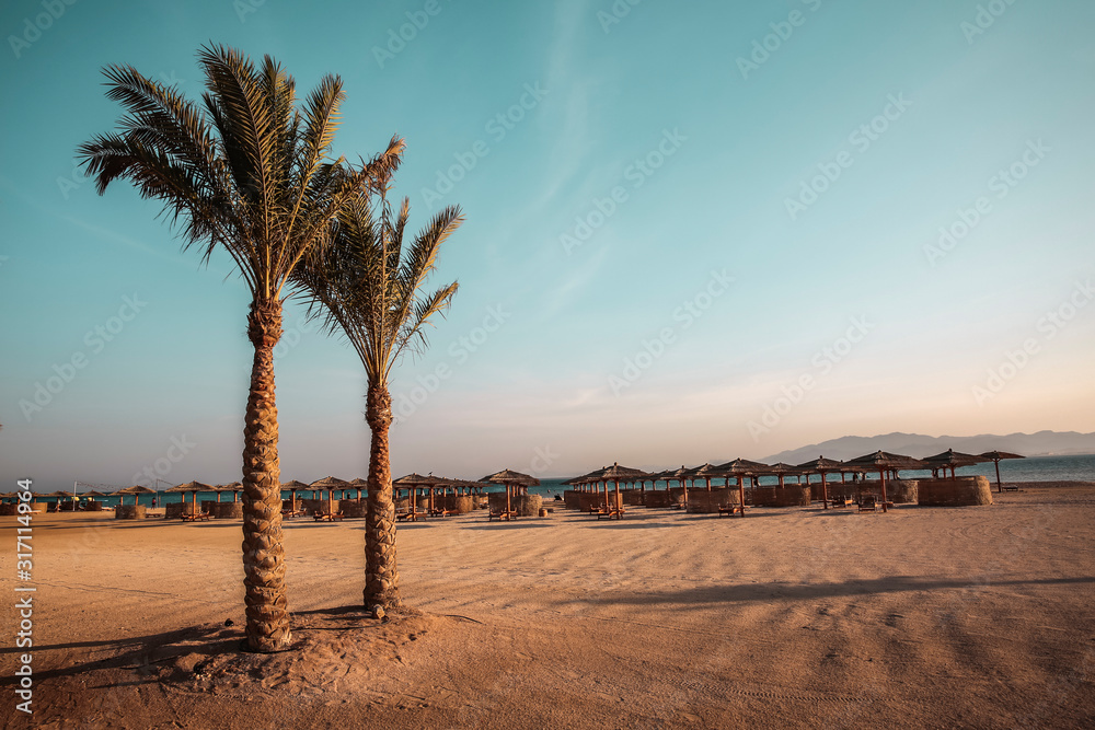 Background of beach with palms and summer time. 