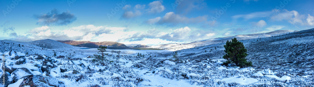 A panoramic scenic view of a snowy mountain trail track with small pine trees and mountain range summit in the background under a majestic blue sky and white clouds A panoramic scenic view of a snowy mountain trail track with small pine trees and mountain range summit in the background under a majestic blue sky and white clouds