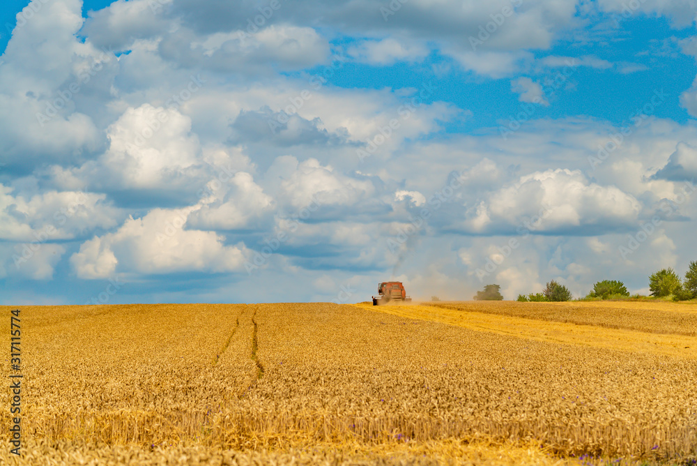 Grain harvesting equipment in the field. Harvest time. Agricultural sector