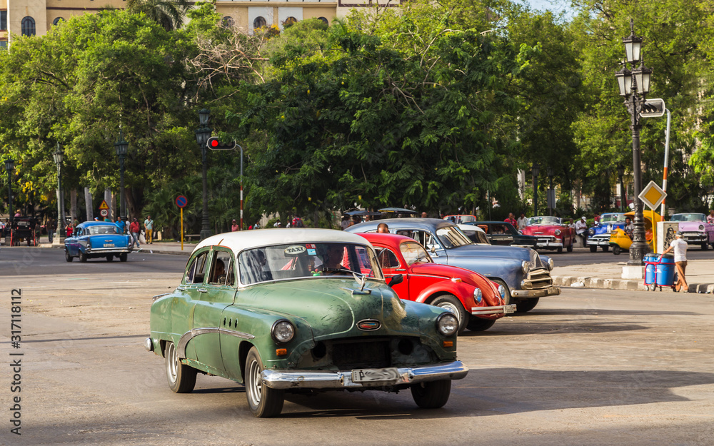 Golden light on the old timers