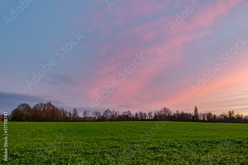 Beautiful dramatic purple, pink, blue and orange cloud and sky after storm and rain over agricultural field on countryside in Germany. Phenomenon of sky turn pink. Nimbostratus cloud during sunset.  © Peeradontax