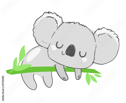 Photography Hand drawn cute childish illustration koala and green leaves