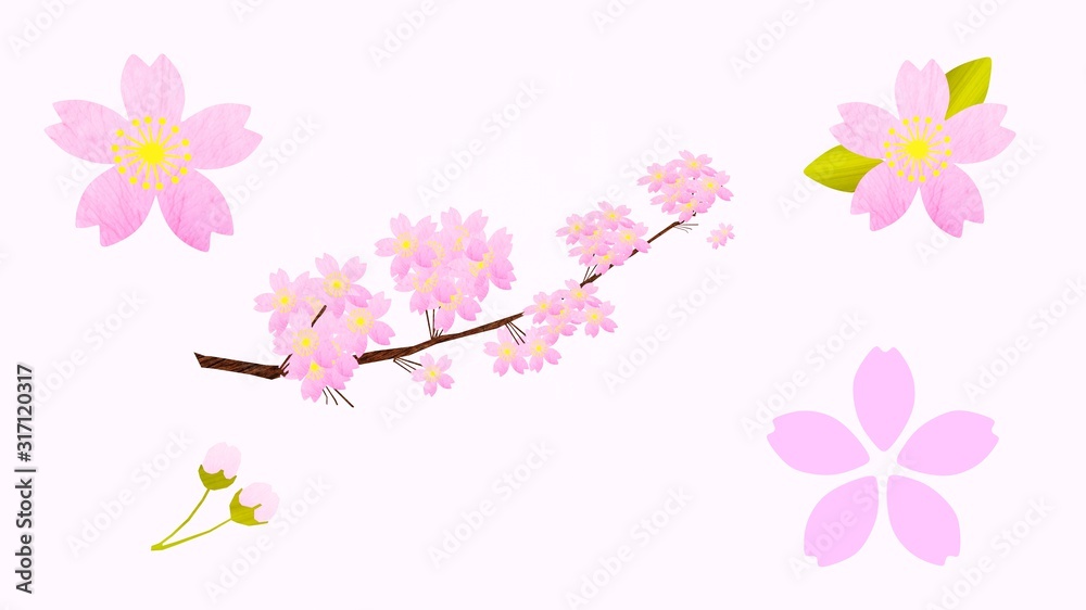 花びら・枝・蕾、桜の素材
