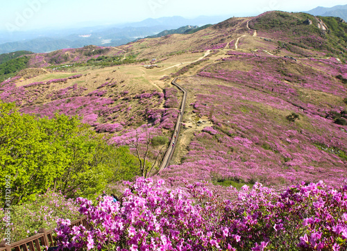 Aerial View of Hwangmaesan Mountain, Hapcheon, Gyeongnam, South Korea, Asia photo