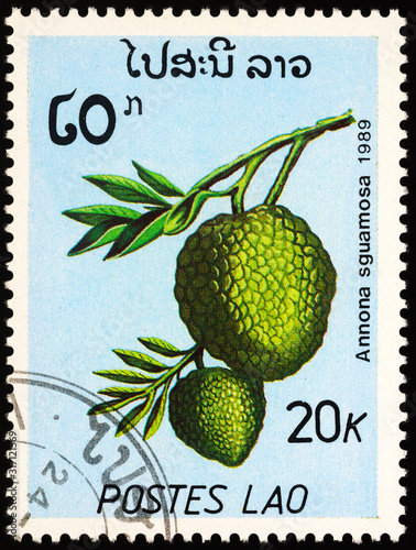 Sugar-apple (Annona squamosa) on postage stamp