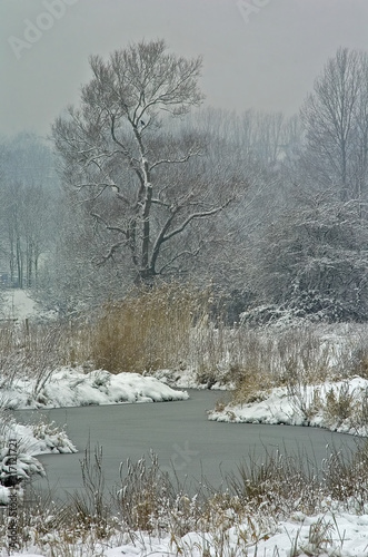Wallpaper Mural Wintermorgen im NSG Ruhraue Muelheim Torontodigital.ca
