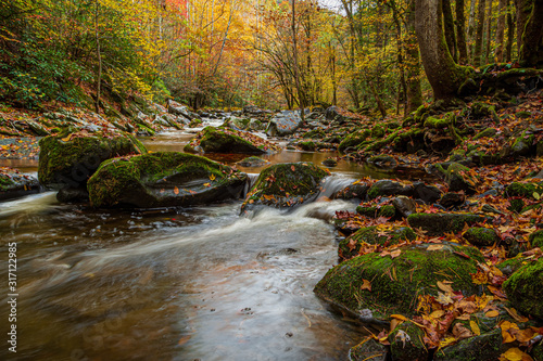 Fall, Great Smoky Mountains
