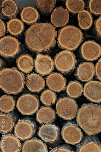 Woodpile