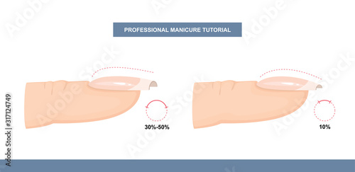 Different Shapes of Nail Plate. Side View. Nail Apex and C-curve. Professional Manicure Guide. Vector illustration