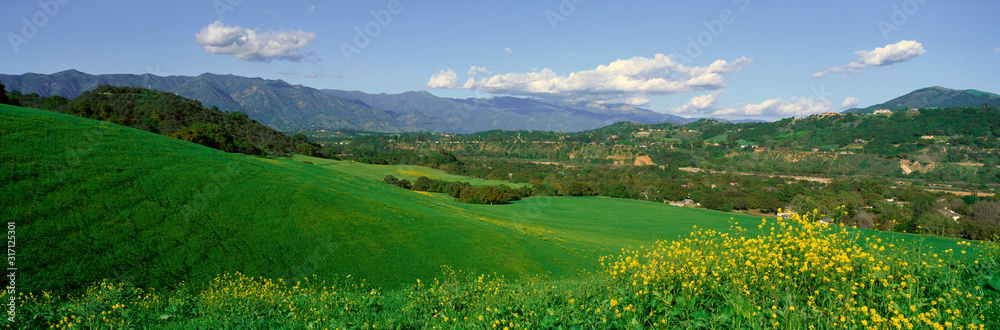 Field in Springtime, Ojai, California