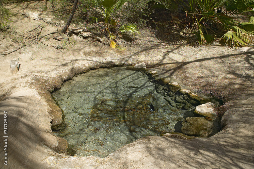 Source of spring water in Agua Canyon, Tucson, AZ Source of spring water in Agua Canyon, Tucson, AZ