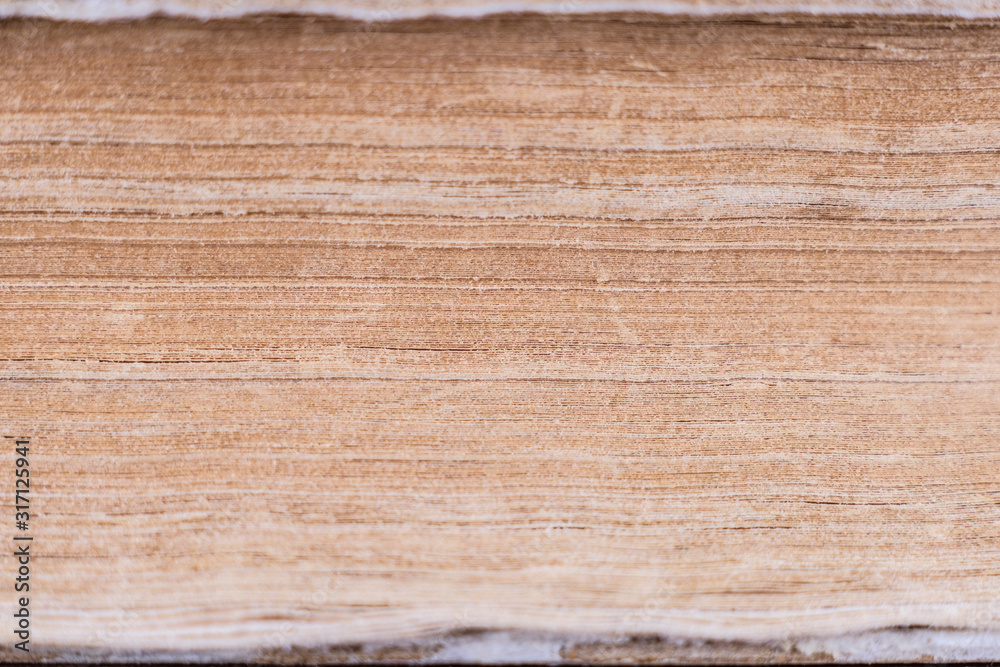 Naklejka premium The image of the ancient book close up