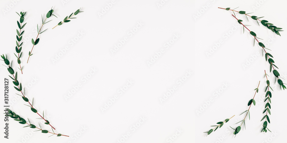 Minimal composition of eucalyptus. Eucalyptus branches, leaves on white background. Valentines Day, Easter, Happy Women's Day, Mother's day. Flat lay, top view, copy space, banner Minimal composition of eucalyptus. Eucalyptus branches, leaves on white background. Valentines Day, Easter, Happy Women's Day, Mother's day. Flat lay, top view, copy space, banner