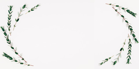 Minimal composition of eucalyptus. Eucalyptus branches, leaves on white background. Valentines Day, Easter, Happy Women's Day, Mother's day. Flat lay, top view, copy space, banner