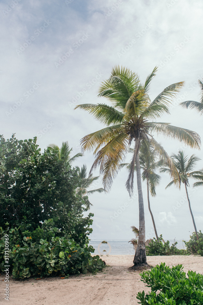 Fototapeta premium Wedding and palm trees by the beach