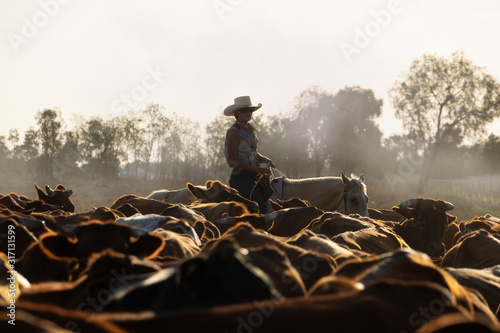 Female drover herding cattle. photo