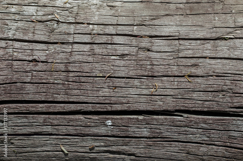 Longitudinal saw cut of an old gray wood with cracksand and dirt