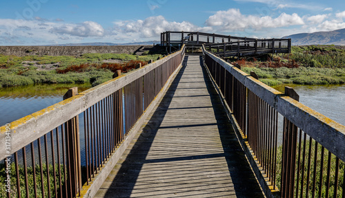 Wooden Bridge to Overlook