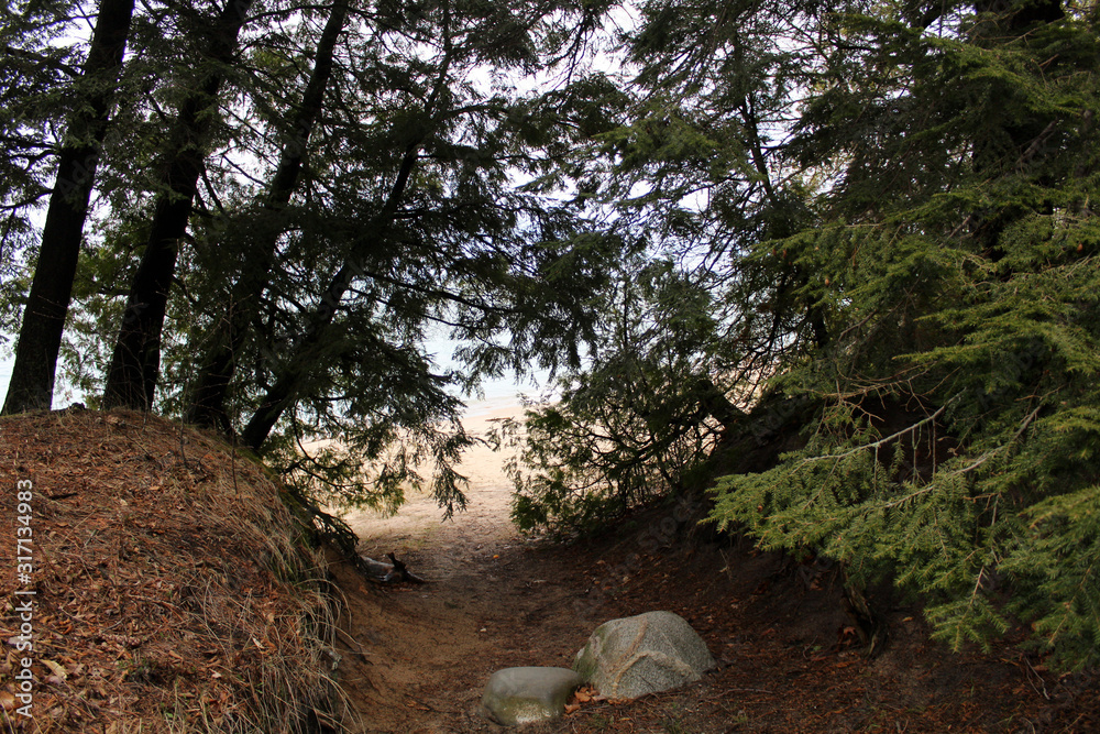 Fototapeta premium Hidden Beach Path