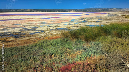 Hutt Lagoon in Western Australia photo