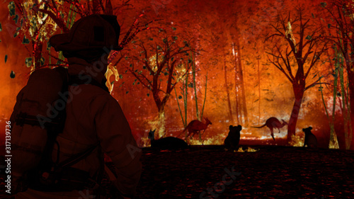 Photography Fireman is looking at aussie animals in wildfire