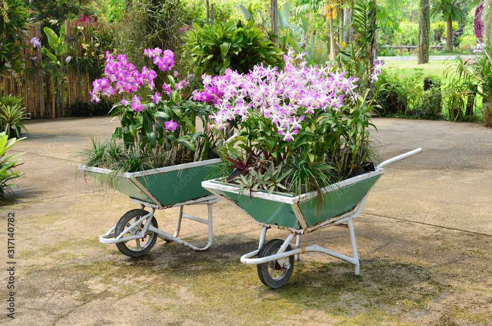 Decored purple or violet orchid  bouquet  in wheelbarrow