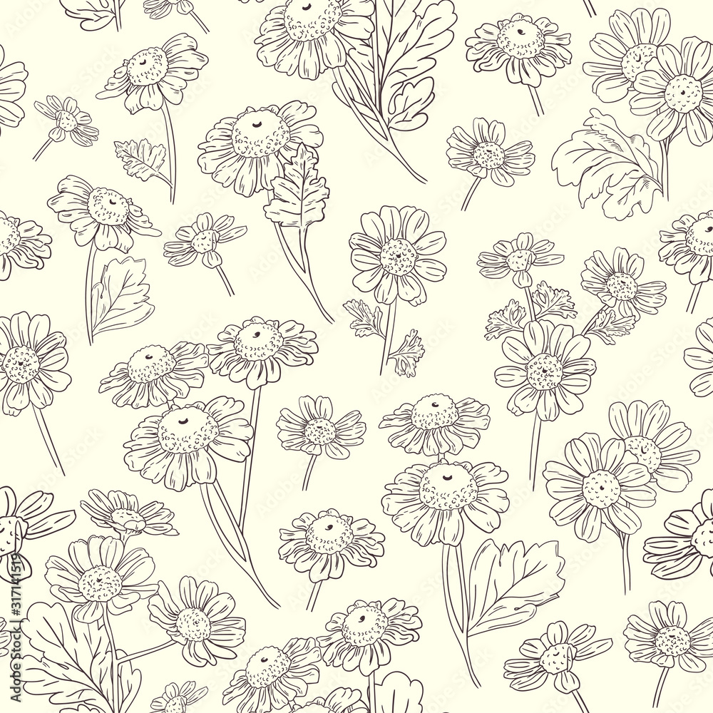 Daisy flowers botanical contour seamless pattern