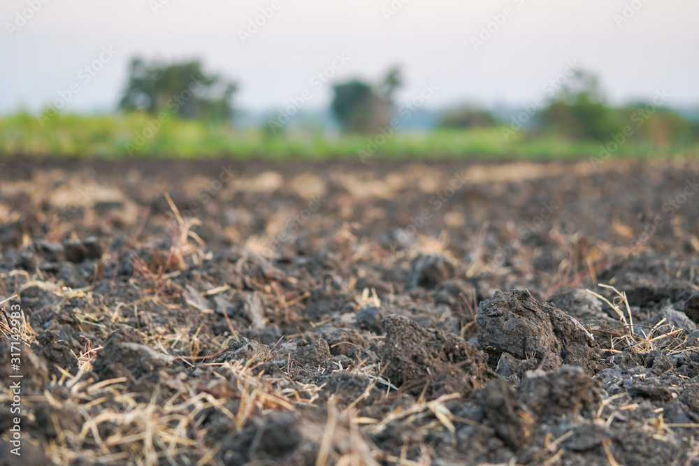Fototapeta premium Soil prepared by farmers for crop cultivation.