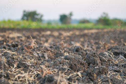 Soil prepared by farmers for crop cultivation.