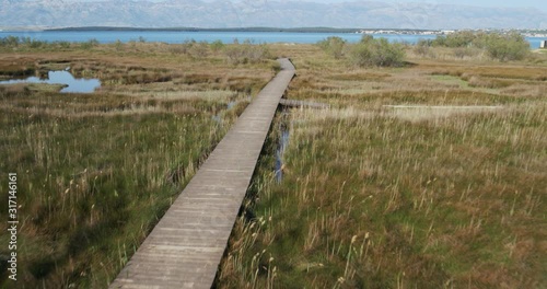 Wallpaper Mural Walkway over the glasswort salt marsh in Nin, Croatia Torontodigital.ca