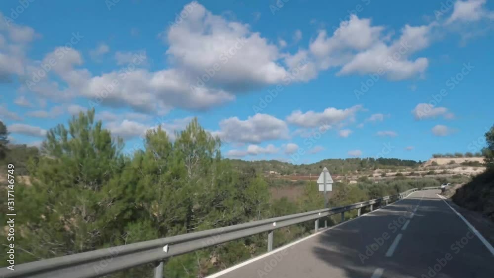 Hyperlapse forward through olive tree field Hyperlapse forward through olive tree field