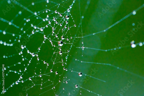 dew on the web