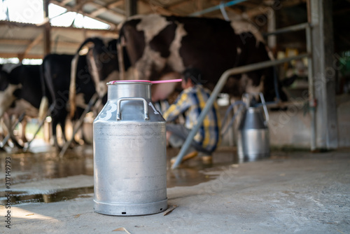 Bilde på lerret Dairy farming, worker is pouring fresh milk that got from milch cow pour down to the tank, It's the filtration contaminants process