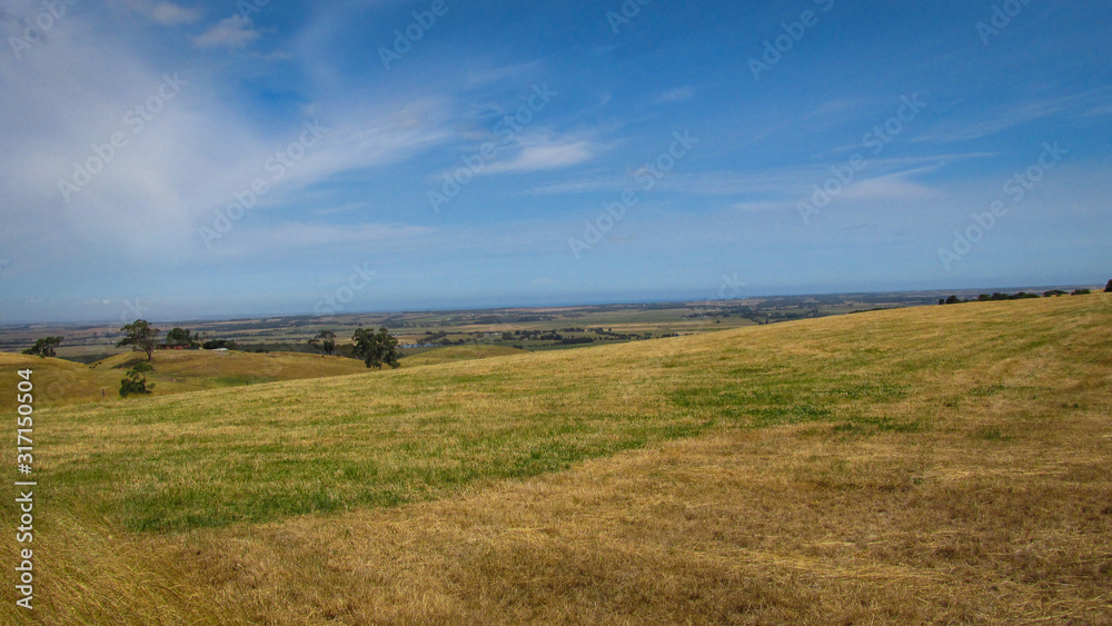 Landscape view of an open farm land in rural Victoria, Australia during one hot summer day. Lack of rain makes the grass appears yellow and dry