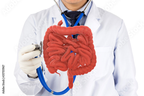 doctor touch intestine check human intestine , 3D concept	