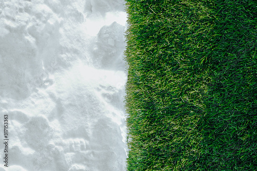 opposites are together, green flowering fresh grass is bordered by white fluffy cold snow, the change of seasons from winter to spring