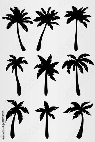 Set of nine palm trees. Set for the design of various travel artworks  brochures  posters  etc.