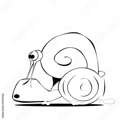 Schnecke