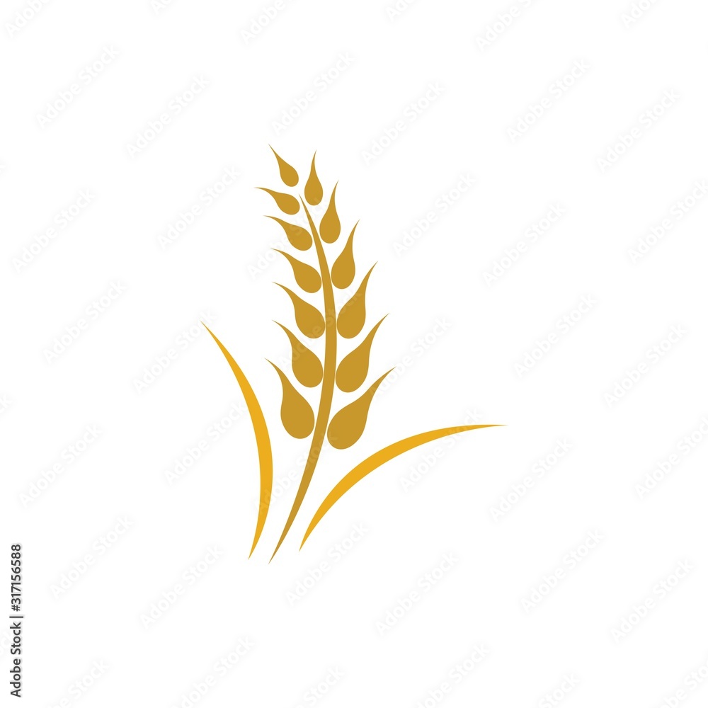 Wheat logo vector icon Wheat logo vector icon