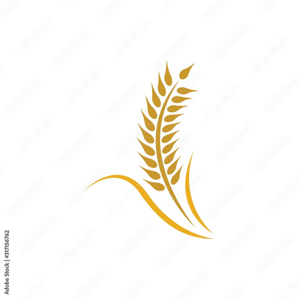 Wheat logo vector icon Wheat logo vector icon