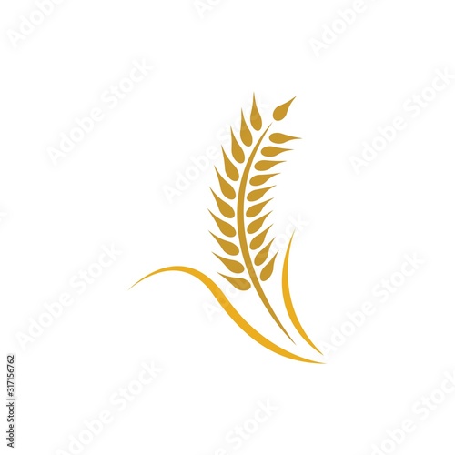 Wheat logo vector icon