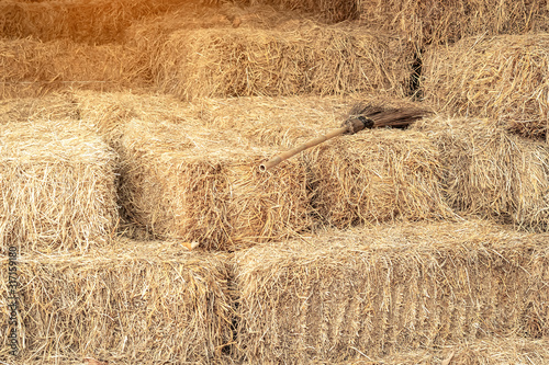 Piled stacks of dry straw collected for animal feed. Dry baled hay bales stack.