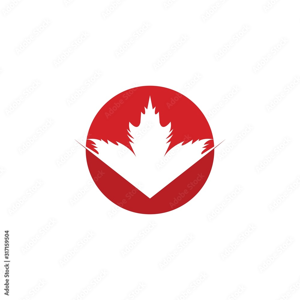 Vector illustration of autumn red maple leaves with white background
