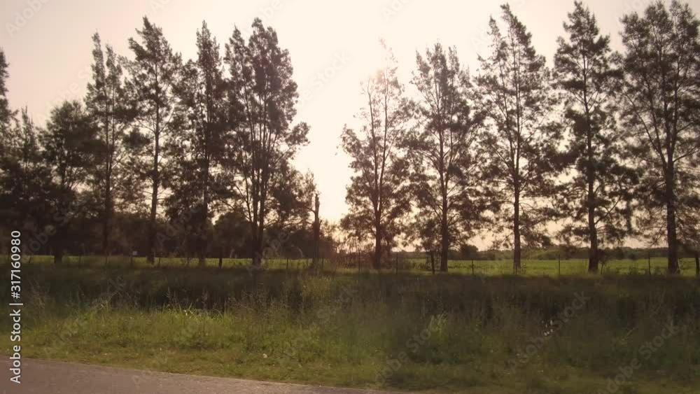 Driving on a Country side Road, valley, driver passenger window View Pine trees � POV Plate - Point of view front � Flying camera sunset. Drone Driving on a Country side Road, valley, driver passenger window View Pine trees � POV Plate - Point of view front � Flying camera sunset. Drone