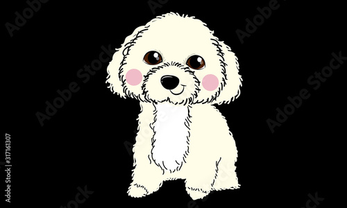 Poodle dog cartoon vector