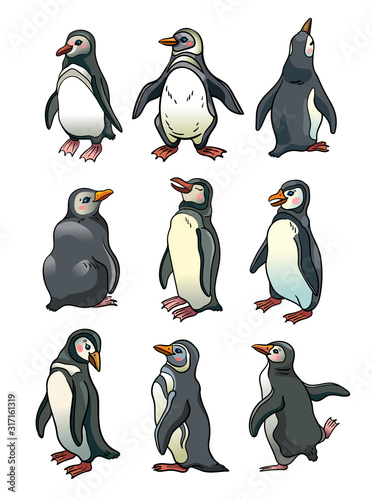 Set of penguins.