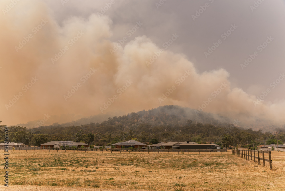 Fototapeta premium Balmattum Hill on fire near Euroa, North East Victoria January 2020