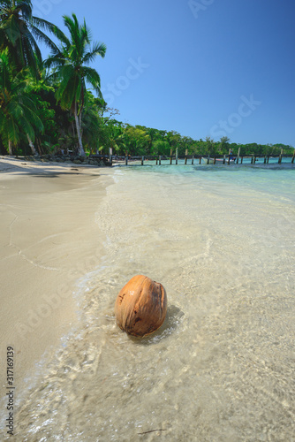 Carenero coconut