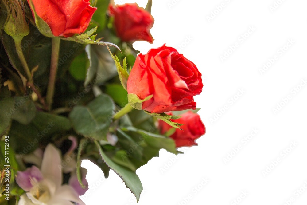 Bouquet Of Roses isolated on white background side view. Bouquet Of Roses isolated on white background side view.